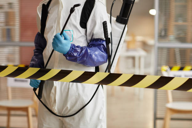 Professional Hoarding Cleanup technician working in Chandler, TX